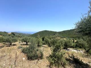 Terrain and views of property