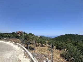 Road view of land with building license