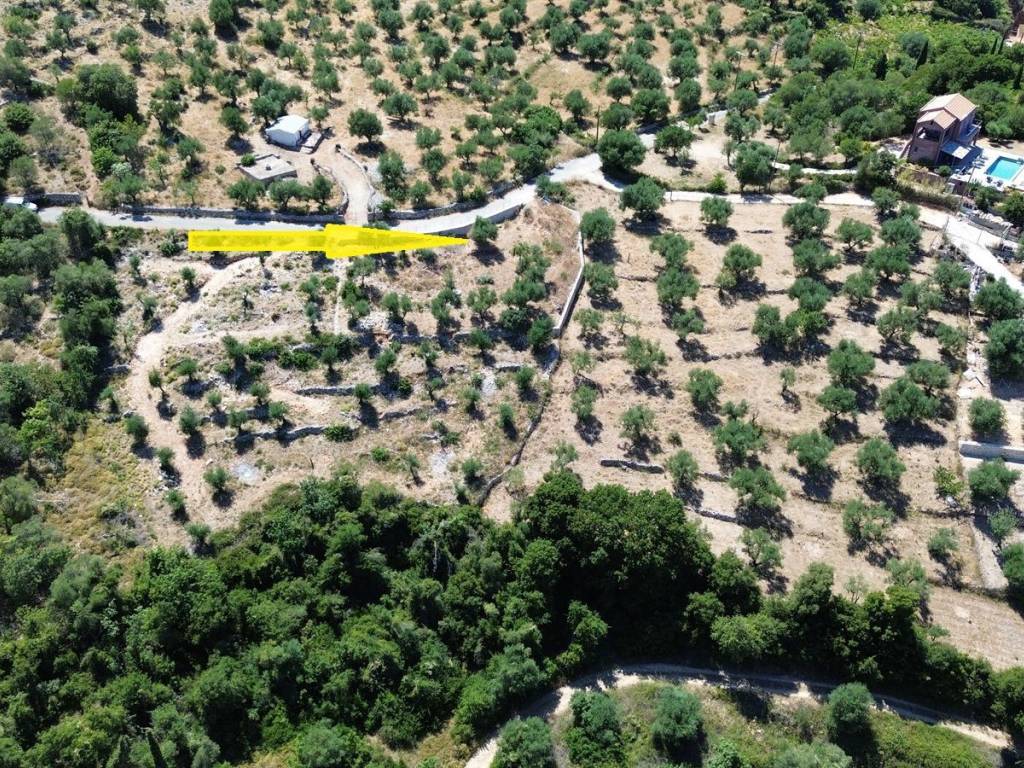 Aerial view of the land with building license