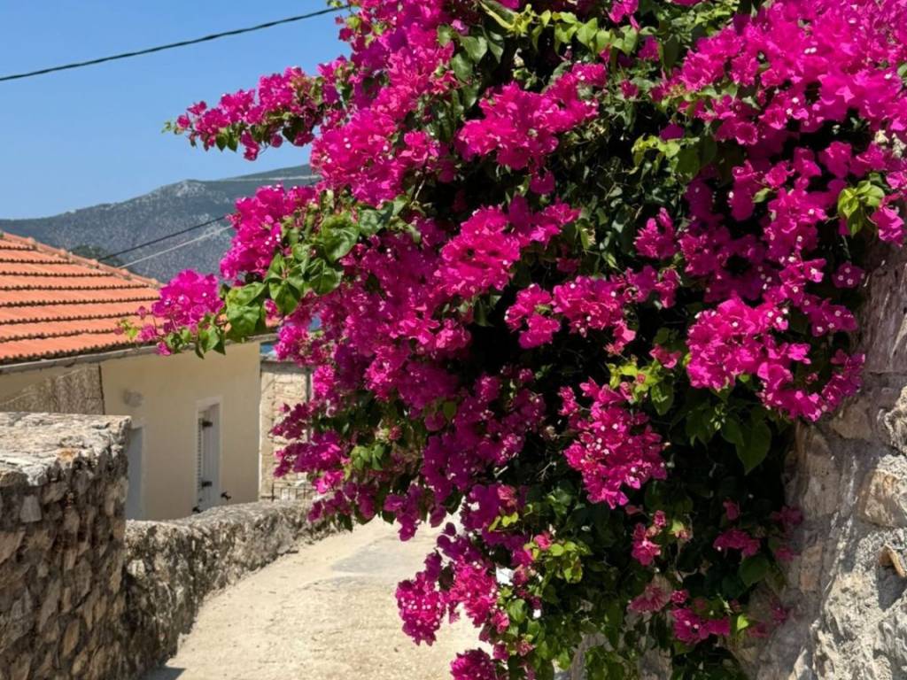 Access path to the house