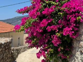 Access path to the house