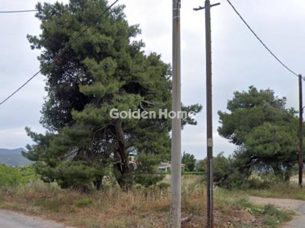 Εξωτερικός Χώρος