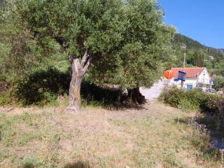 Terrain and landscape