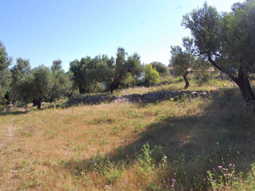 Terrain and landscape