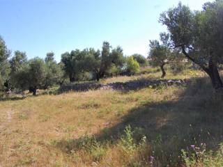 Terrain and landscape