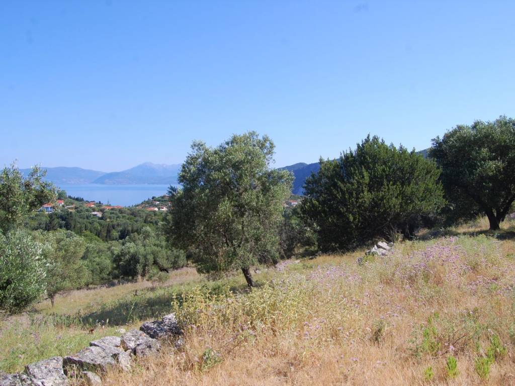 Terrain and landscape