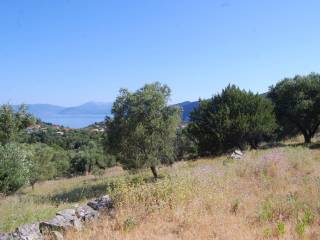 Terrain and landscape