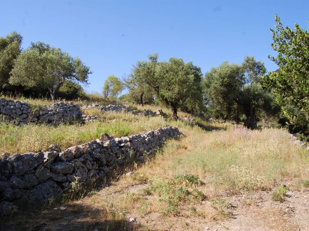 Terrain and landscape