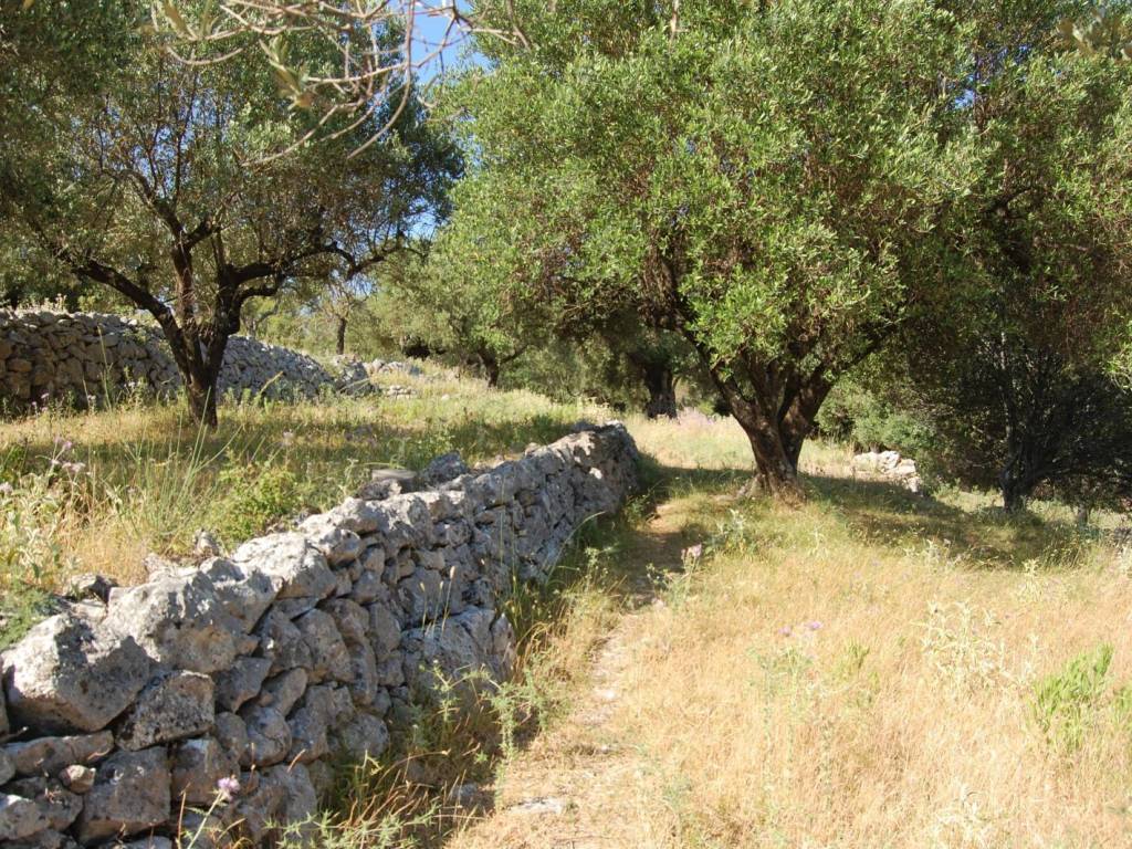 Terrain and landscape