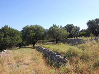 Terrain and landscape