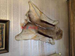 Ύπαρξη ανθρώπου