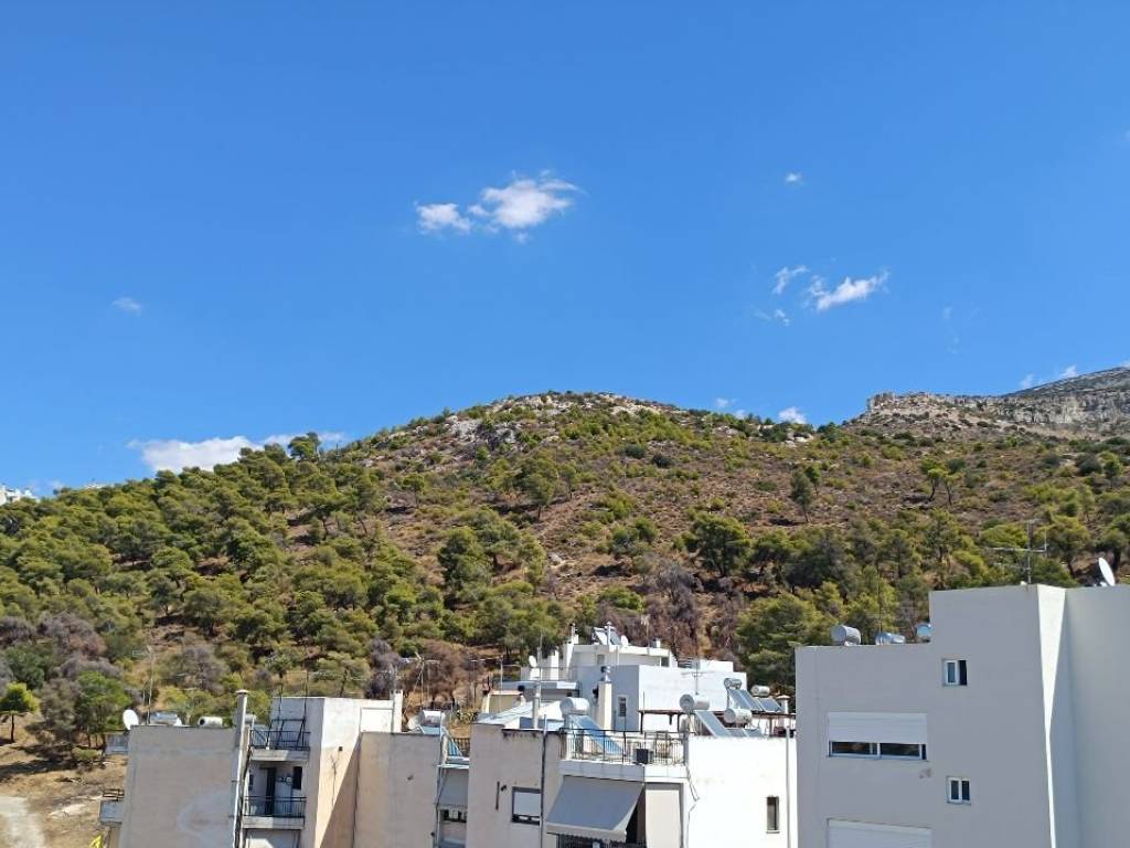 THEA APO TEN KOYZINA