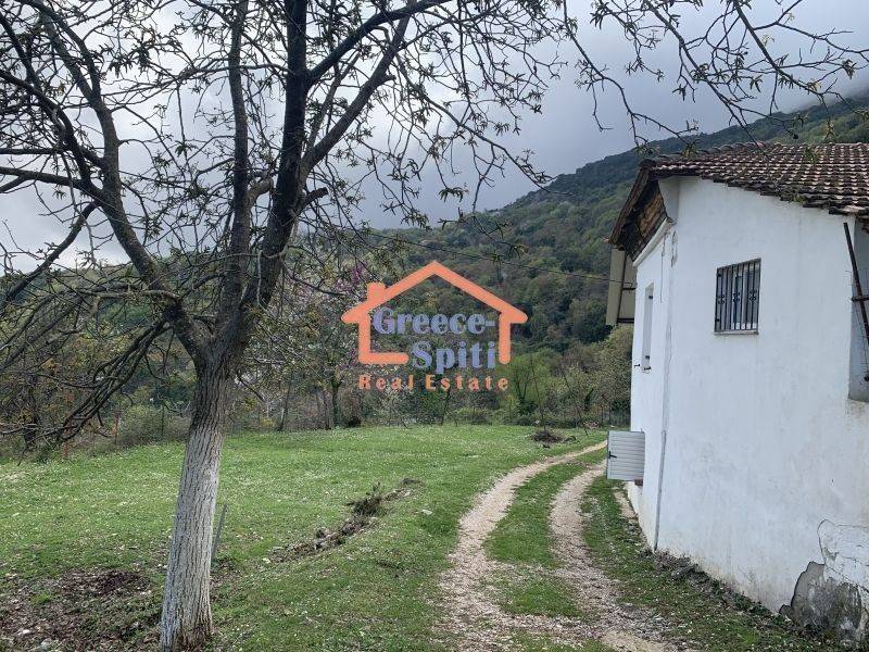 Εξωτερικός χώρος