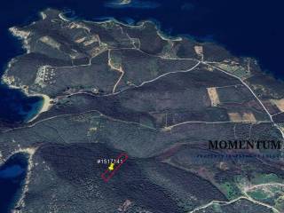 Εξωτερικοι χώροι