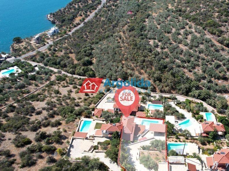 Ύπαρξη ανθρώπου