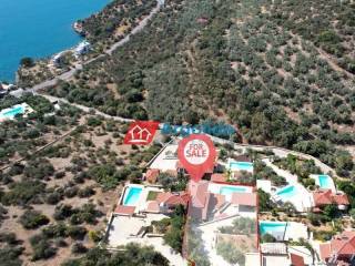 Ύπαρξη ανθρώπου