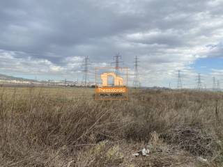 ΒΙ. ΠΑ. Ωραιοκάστρου, Αγροτεμάχιο, 49.445 τ.μ.