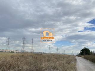 ΒΙ. ΠΑ. Ωραιοκάστρου, Αγροτεμάχιο, 49.445 τ.μ.