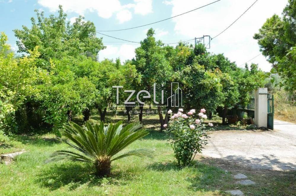 Εξωτερική άποψη χώρου