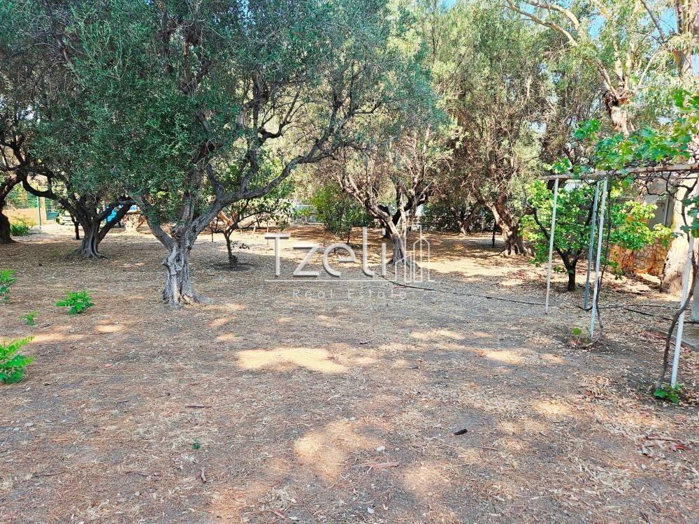 Εξωτερική άποψη χώρου