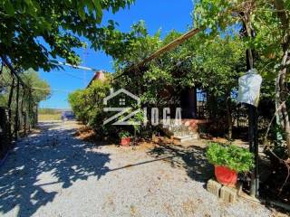 Ύπαρξη ανθρώπου