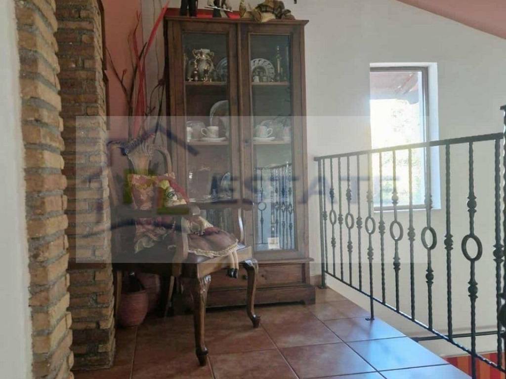 eidodos ypnodomation