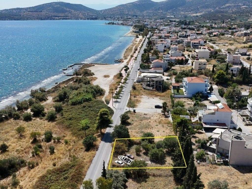 Εξωτερικοι χώροι