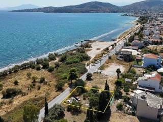 Εξωτερικοι χώροι