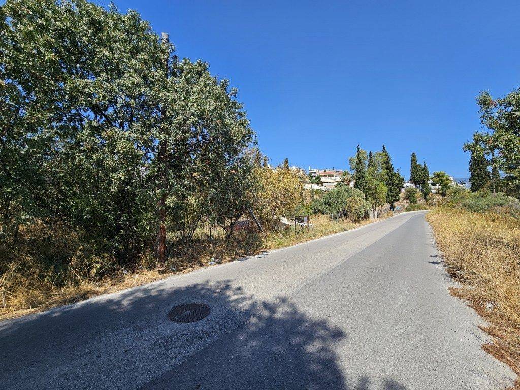 Εξωτερικοι χώροι