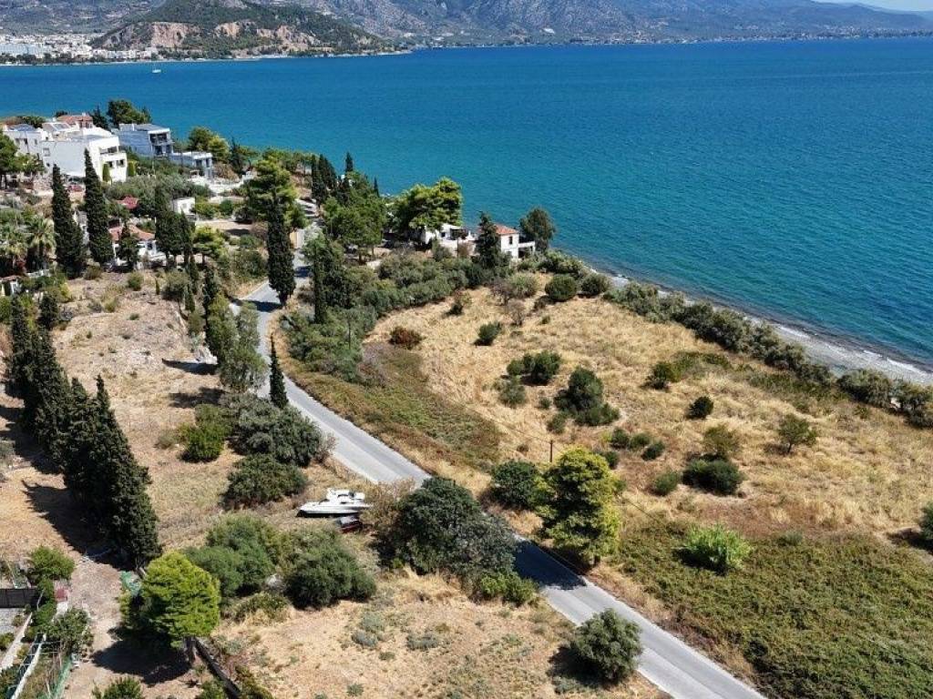 Εξωτερικοι χώροι