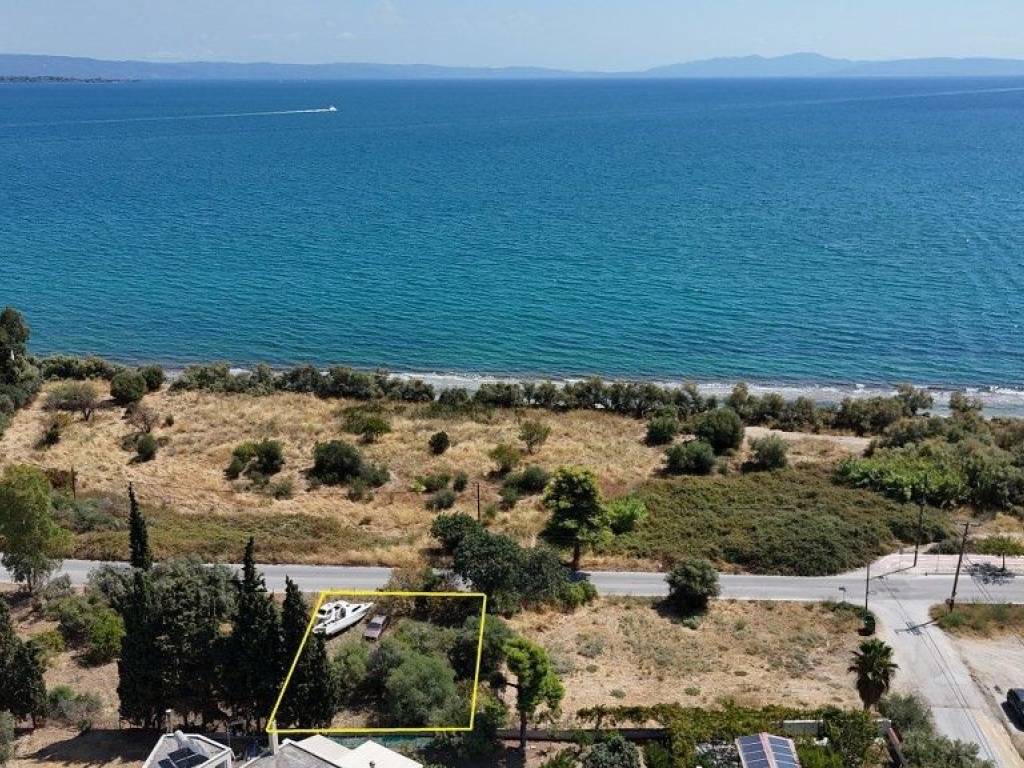 Εξωτερικοι χώροι