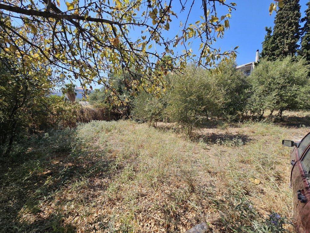 Εξωτερικοι χώροι