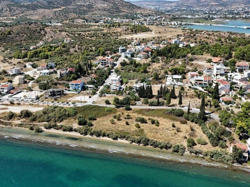 Εξωτερικοι χώροι