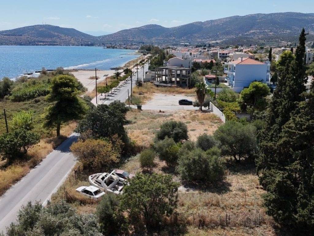 Εξωτερικοι χώροι