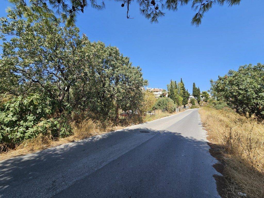 Εξωτερικοι χώροι