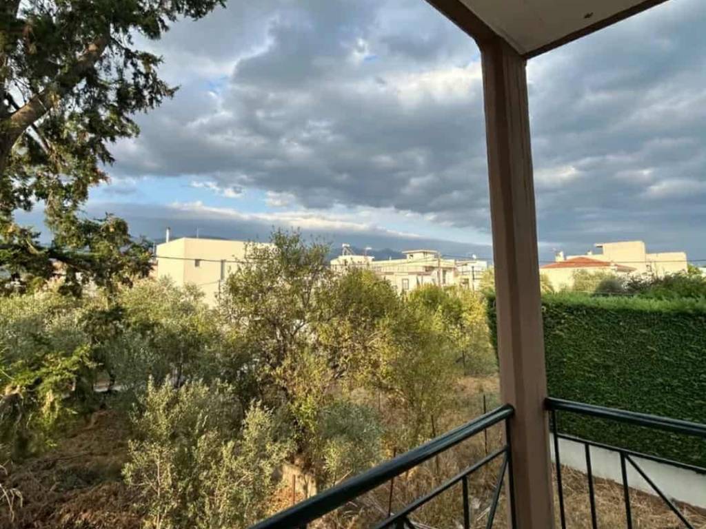 ΘΕΑ ΜΠΑΛΚΟΝΙΟΥ