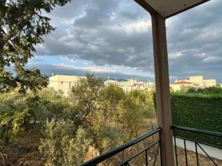 ΘΕΑ ΜΠΑΛΚΟΝΙΟΥ