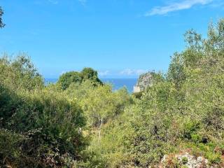 Plot - Grekodom 64098|1009556