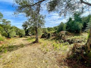 Plot - Grekodom 64098|1009555