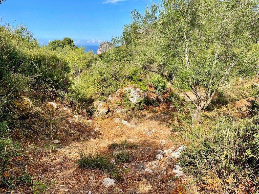 Plot - Grekodom 64098|1009568