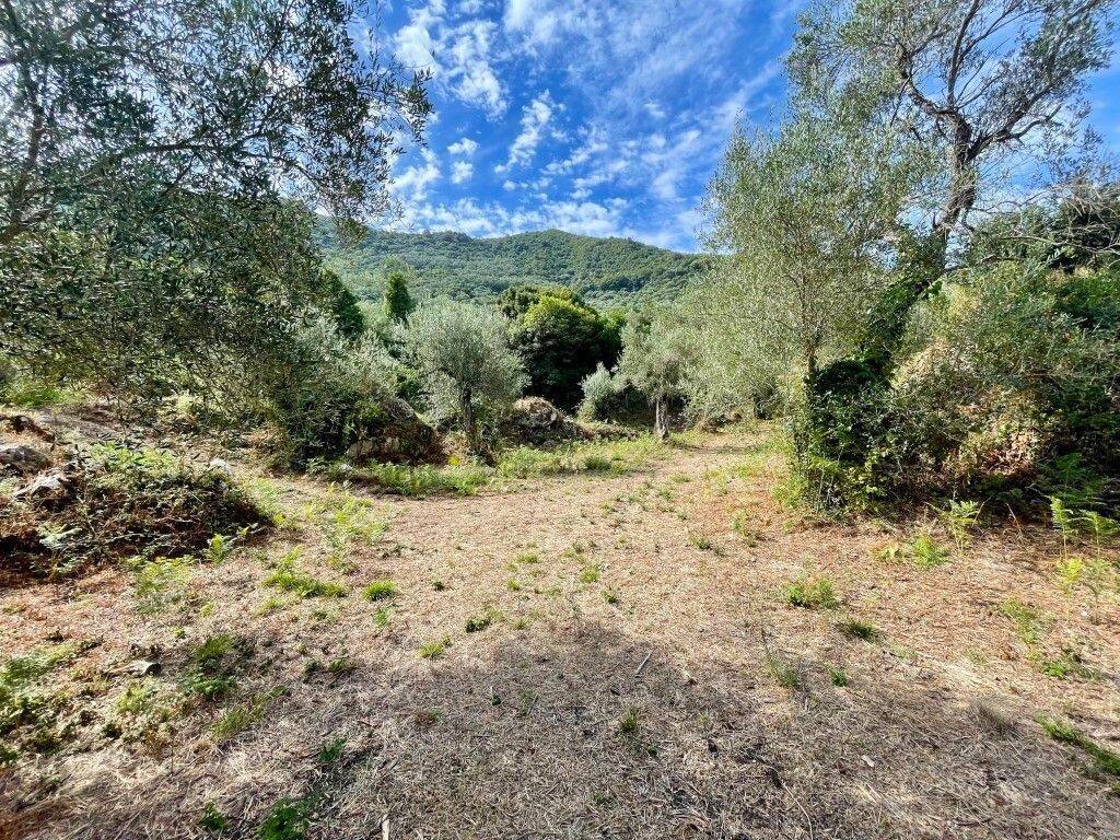 Plot - Grekodom 64098|1009561