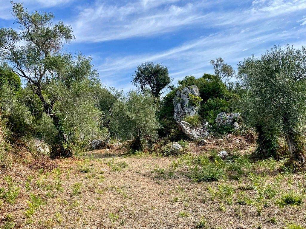 Plot - Grekodom 64098|1009569