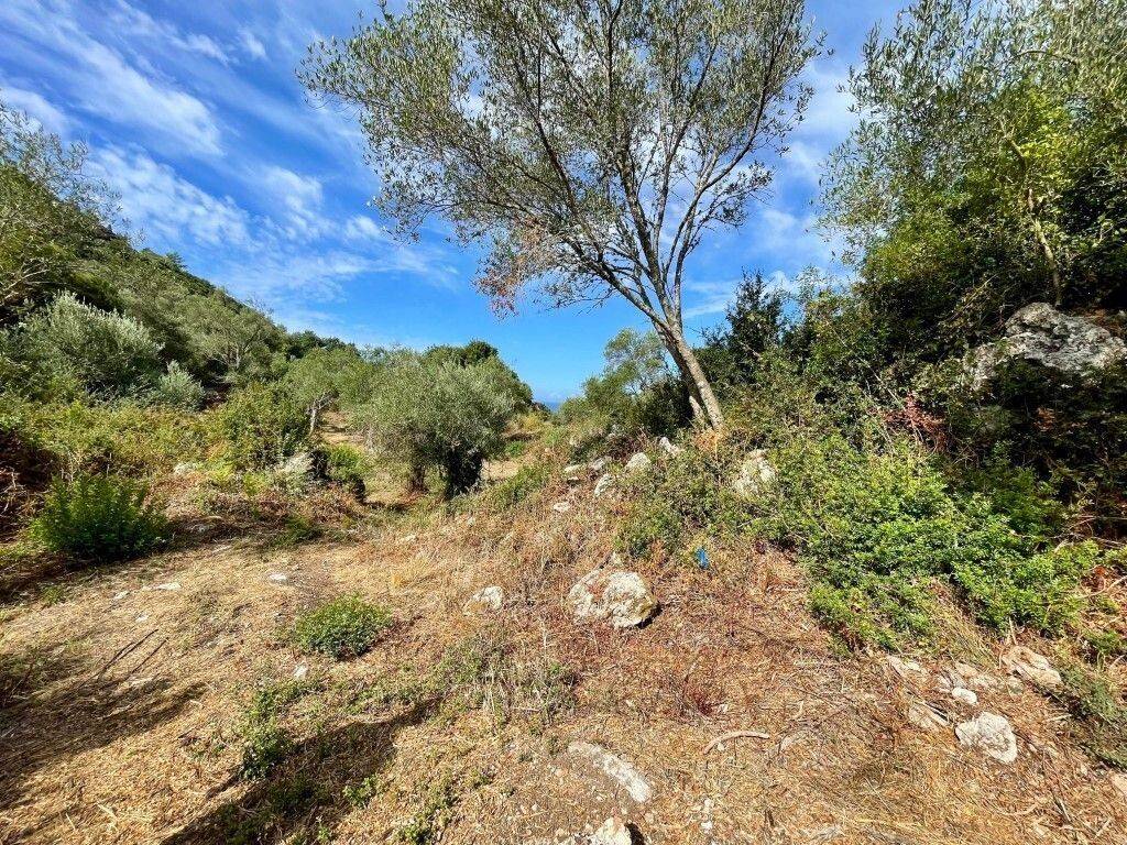 Plot - Grekodom 64098|1009566