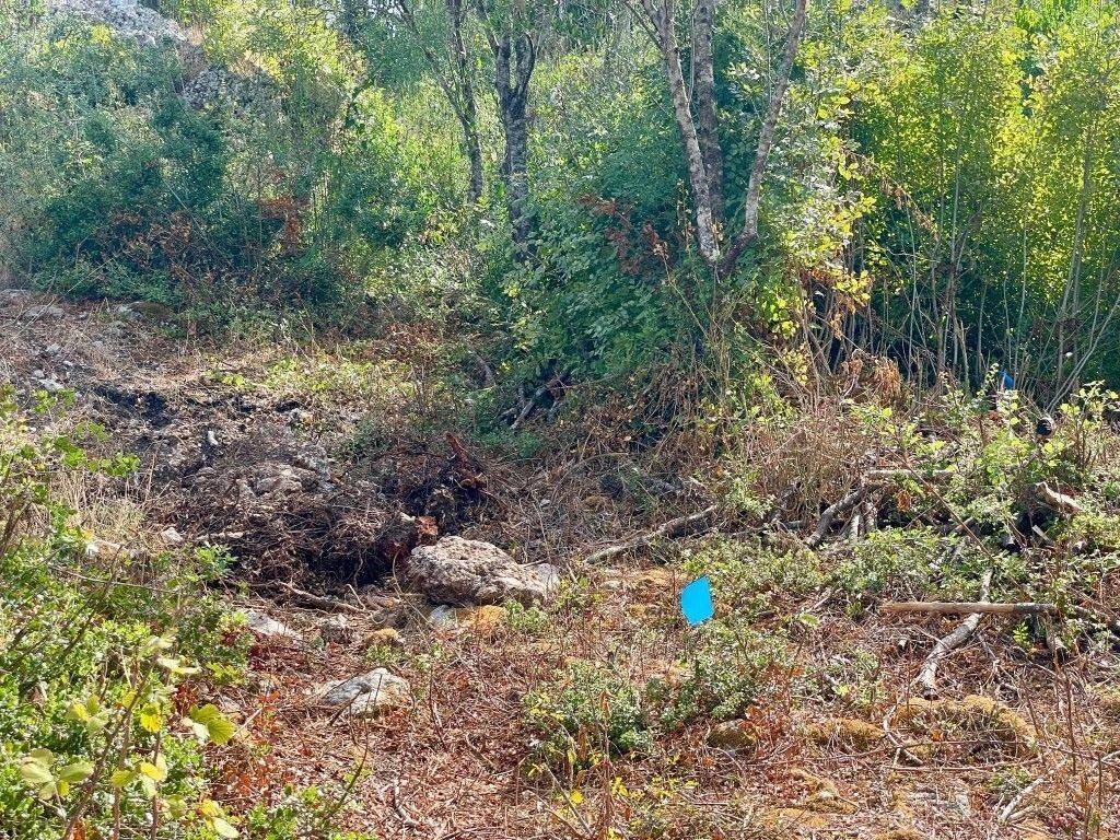 Plot - Grekodom 64098|1009567