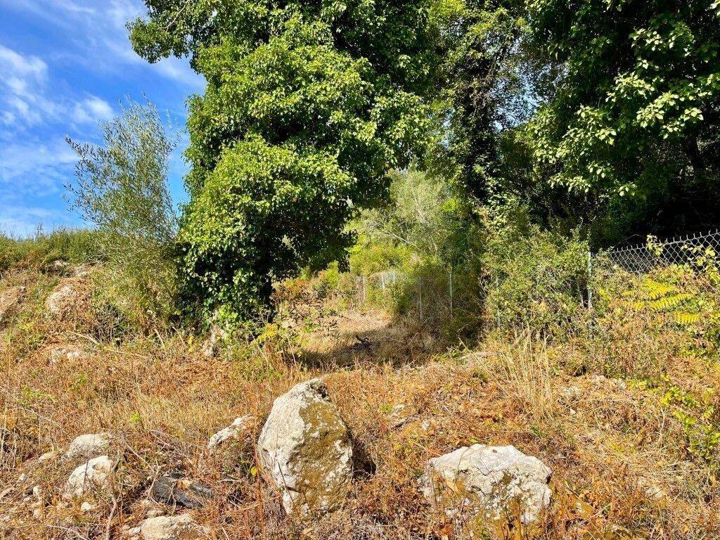 Plot - Grekodom 64098|1009570