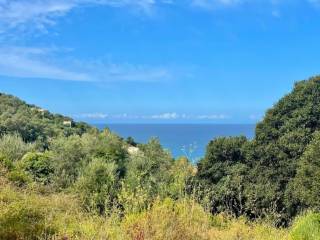 Plot - Grekodom 64097|1009541