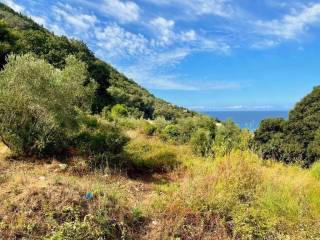 Plot - Grekodom 64097|1009542