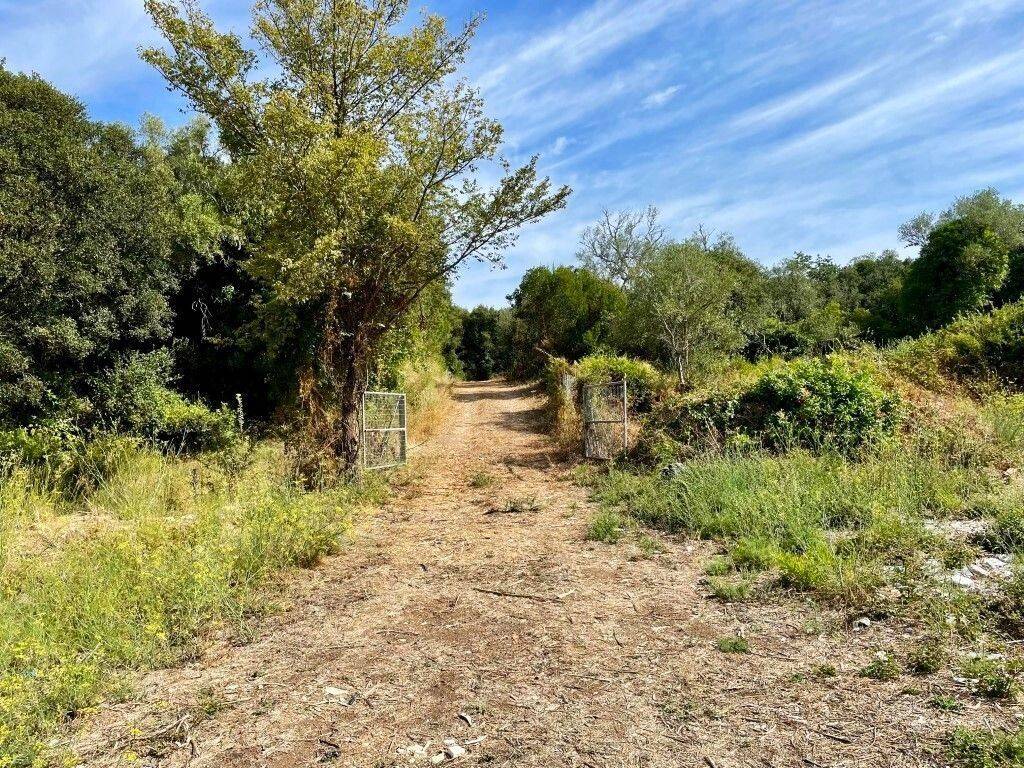 Plot - Grekodom 64097|1009544