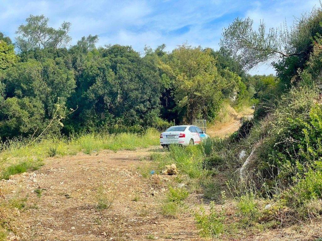 Plot - Grekodom 64097|1009545