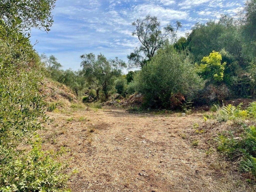 Plot - Grekodom 64097|1009547